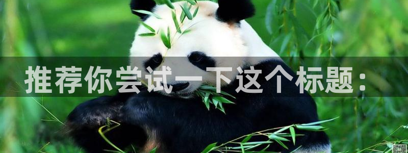 星辉平台是赌博吗