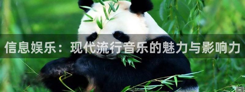 星辉平台赏金女王