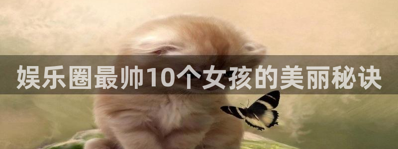 星辉平台网页版