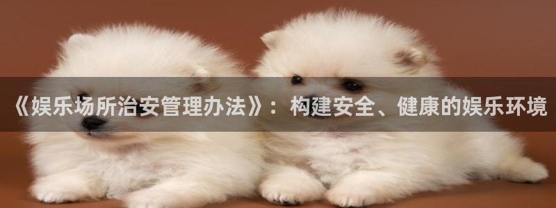 壹号平台下载安装官网