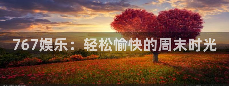 星辉平台平台官方入口下载