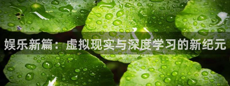 星辉平台链接