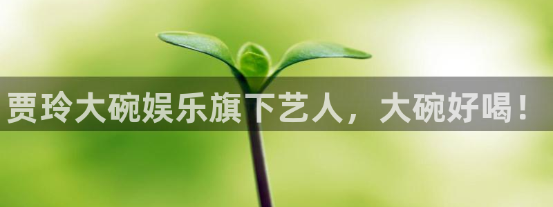 壹号大舞台娱乐app下载安装