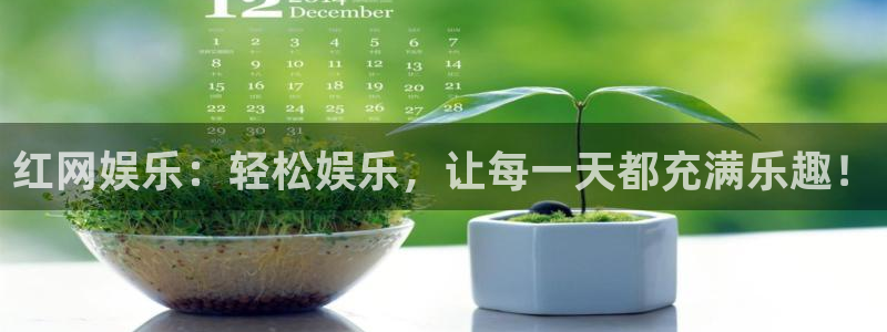 星辉平台加拿大app预测