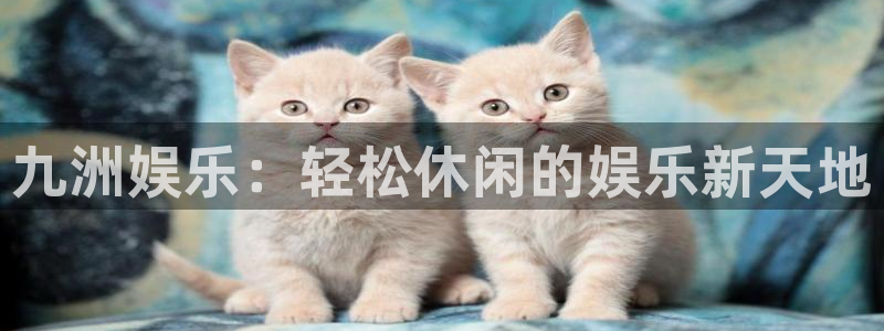 壹号平台下载