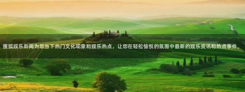 星辉平台com