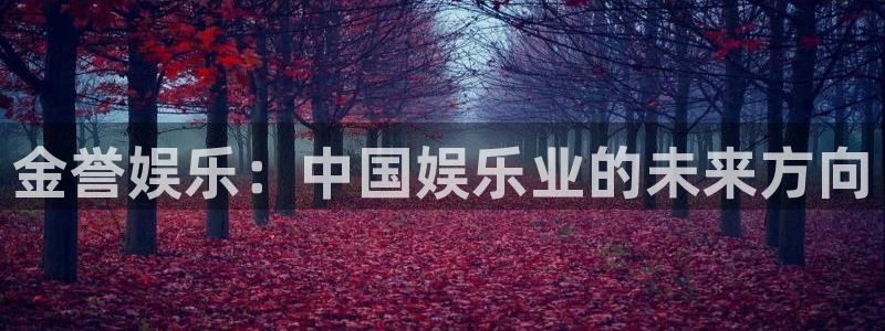 星辉平台是赌博吗