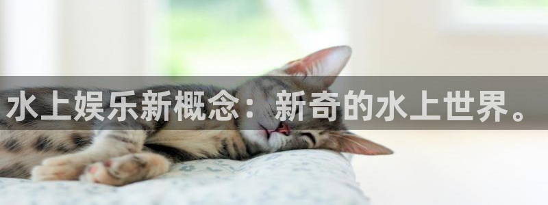 星辉平台平台官网版下载