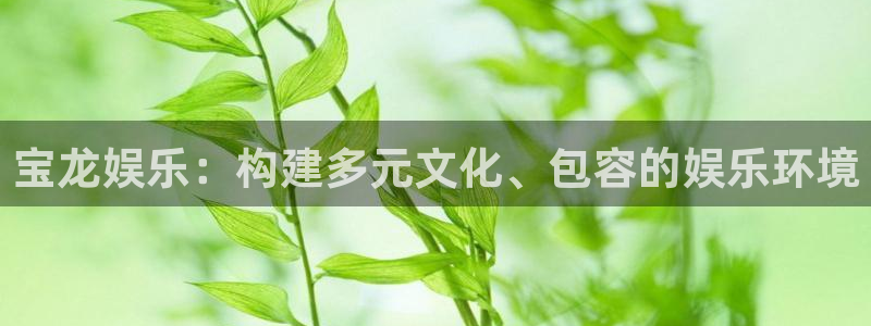 星辉平台是真的吗
