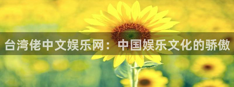 星辉平台app