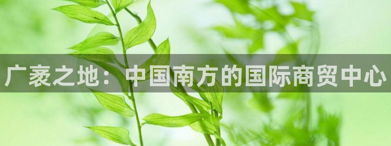 壹号app官方登录入口下载