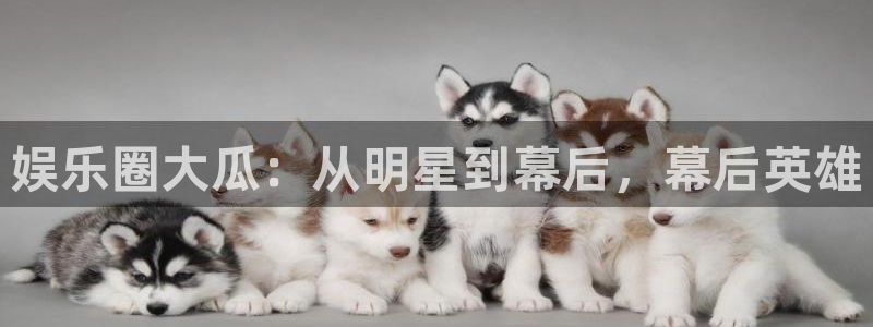 星辉平台平台