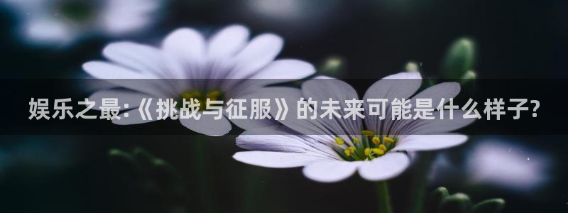 星辉平台电子游戏网页版