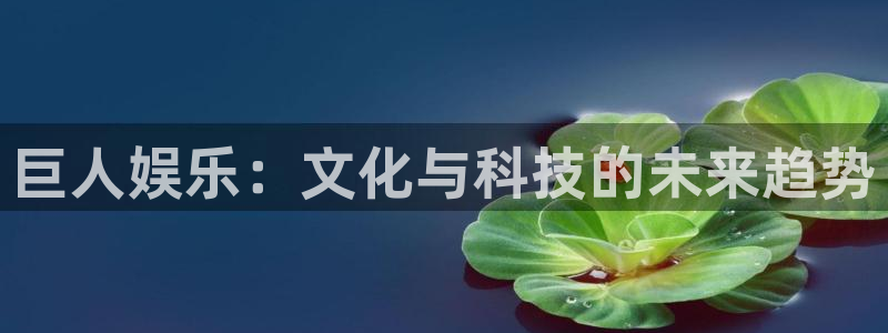星辉平台app最新版怎么下载苹果