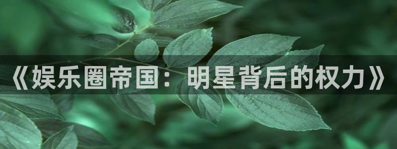 星辉平台官网版下载