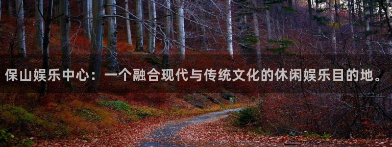 星辉平台.ccmpc正版