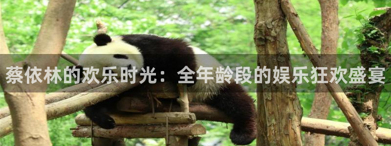 星辉平台app网页入口：蔡依林的欢乐时光：全年龄段的娱乐狂欢盛宴