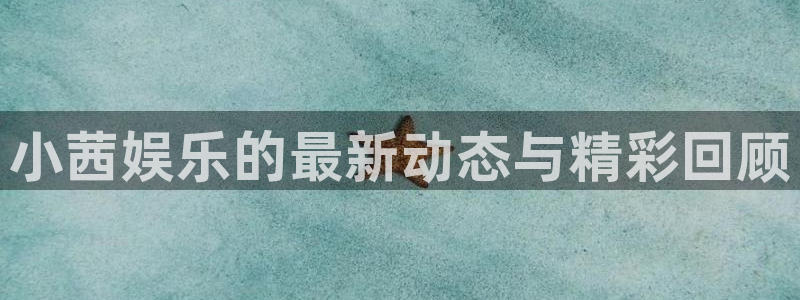 壹号app下载：小茜娱乐的最新动态与精彩回顾