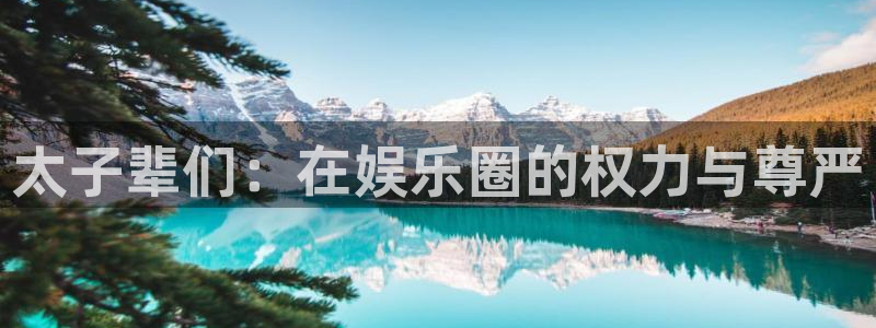 星辉平台官网：太子辈们：在娱乐圈的权力与尊严