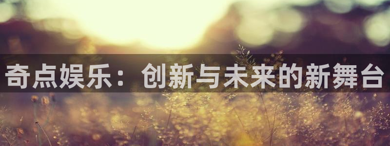 星辉平台游戏试玩：奇点娱乐：创新与未来的新舞台