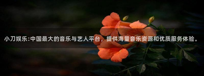 星辉平台网站平台登录：小刀娱乐:中国最大的音乐与艺人平台，提供海量音乐资源和优质服务体验。