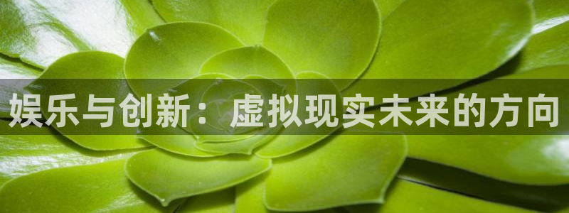 苹果版星辉平台下载安装：娱乐与创新：虚拟现实未来的方向