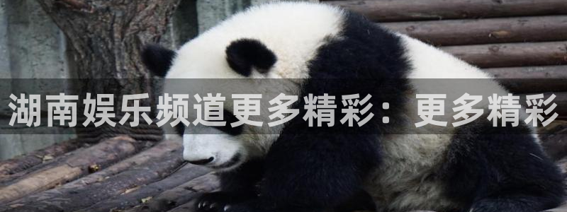 星辉平台注册网站app：湖南娱乐频道更多精彩：更多精彩