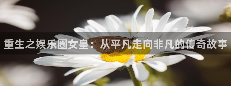 星辉平台平台官网入口：重生之娱乐圈女皇：从平凡走向非凡的传奇故事