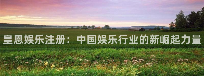 星辉平台下载入口：皇恩娱乐注册：中国娱乐行业的新崛起力量