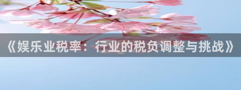 星辉平台注册链接：《娱乐业税率：行业的税负调整与挑战》