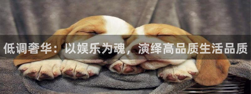 星辉平台app下载：低调奢华：以娱乐为魂，演绎高品质生活品质
