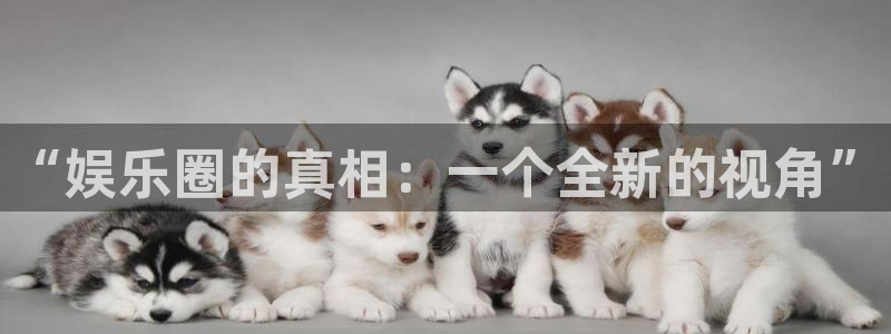 星辉平台com：“娱乐圈的真相：一个全新的视角”